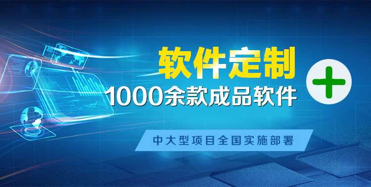 麻章软件开发